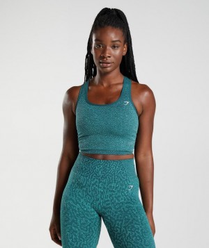 Gymshark Adapt Animal Seamless Crop Tank Tanktop Reef | Winter Teal | 84CTNDLUM