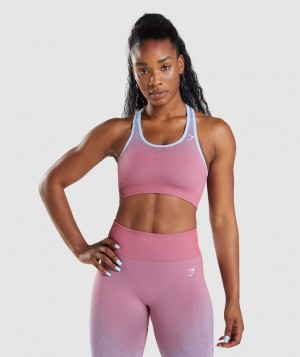 Gymshark Adapt Ombre Seamless Sports Bra Sports Bras Roze Blauw | 92YCUODRN