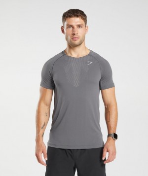 Gymshark Apex Seamless T-Shirt T-Shirts Donkergrijs | 19VSACJTG