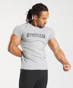 Gymshark Apollo T-Shirt T-Shirts Lichtgrijs | 26DJNSREV