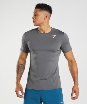 Gymshark Arrival T-Shirt T-Shirts Grijs | 08WSARTNJ