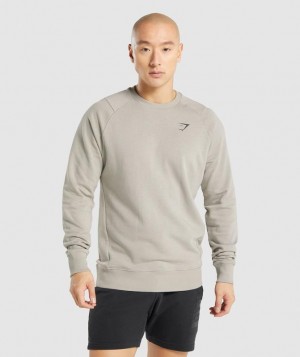 Gymshark Bold Crew Pullovers Grijs | 02FDRISOU