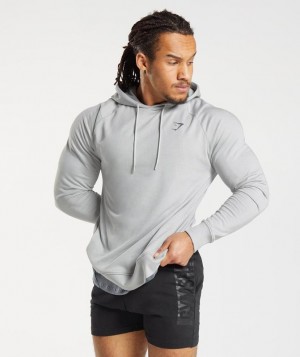 Gymshark Bold Hoodie Hoodies Lichtgrijs | 23OWZHRUI