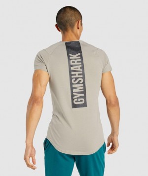 Gymshark Bold T-Shirt T-Shirts Grijs | 04ABNEMIC