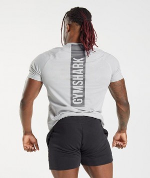 Gymshark Bold T-Shirt T-Shirts Lichtgrijs | 52XKYODRQ