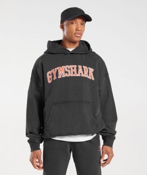 Gymshark Collegiate Hoodie Hoodies Lichtturkoois | 04XYENFRS