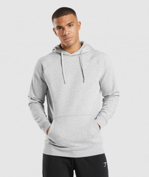 Gymshark Crest Hoodie Hoodies Lichtgrijs | 45AHOFJPW