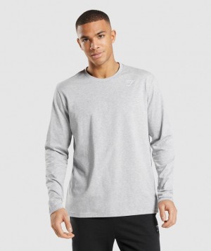 Gymshark Crest Long Sleeve T-Shirt Long Sleeve Top Lichtgrijs | 28CKEVQBD