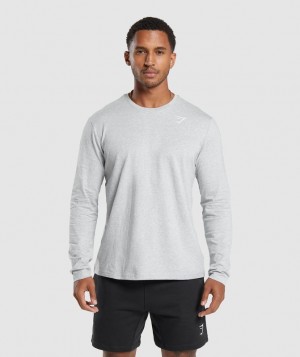 Gymshark Crest Long Sleeve T-Shirt Long Sleeve Top Lichtgrijs | 58JIUMADB