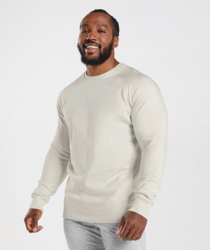 Gymshark Crest Sweatshirt Pullovers Grijs | 04QOYRAGN