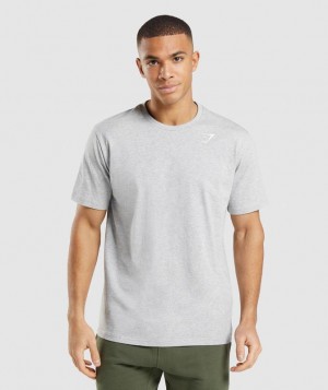 Gymshark Crest T-Shirt T-Shirts Lichtgrijs | 68IQEVHGA