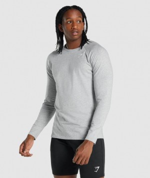 Gymshark Critical 2.0 Long Sleeve T-Shirt Long Sleeve Top Lichtgrijs | 30ZXVHTUW