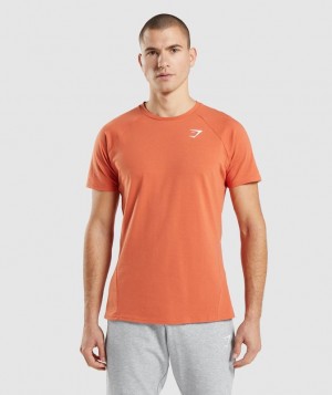 Gymshark Critical T-Shirt T-Shirts Oranje | 82BSMKURT