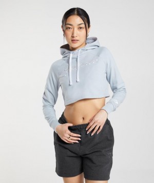 Gymshark Embroidered Graphic Cropped Hoodie Hoodies Grijs | 80TFHMYZU