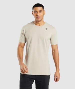 Gymshark Essential T-Shirt T-Shirts Grijs | 69LCUEBPX