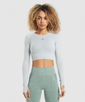 Gymshark Flex Sports Long Sleeve Crop Top Crop Tops Lichtgrijs | 72TESRFZV