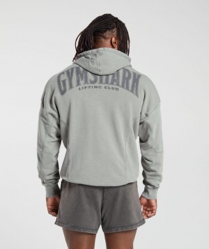 Gymshark Heritage Washed Hoodie Hoodies Grijs | 76ZKBRMXW