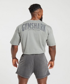 Gymshark Heritage Washed T-Shirt T-Shirts Grijs | 72KMZLYTS