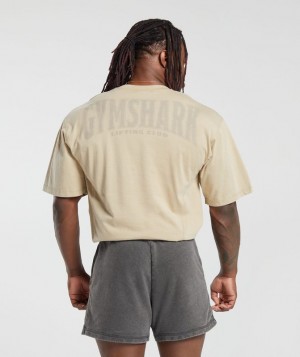 Gymshark Heritage Washed T-Shirt T-Shirts Beige | 92CYGLXTA