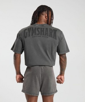 Gymshark Heritage Washed T-Shirt T-Shirts Grijs | 59OZEUAYT