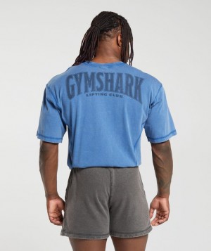 Gymshark Heritage Washed T-Shirt T-Shirts Blauw | 57DQSRLOY