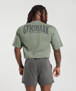 Gymshark Heritage Washed T-Shirt T-Shirts Groen | 68GAEBYSD