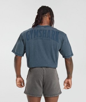 Gymshark Heritage Washed T-Shirt T-Shirts Donkerblauw | 91NQYLBJE