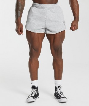 Gymshark Legacy 4" Shorts Korte Broek Lichtgrijs | 50QRYXSWL