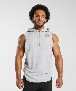 Gymshark Legacy Drop Arm Hoodie Hoodies Lichtgrijs | 15BLCPTXS