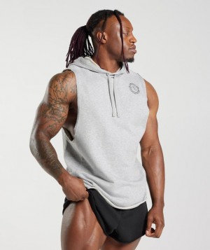 Gymshark Legacy Drop Arm Hoodie Hoodies Lichtgrijs | 37NOVBLHG