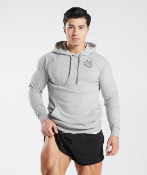 Gymshark Legacy Hoodie Hoodies Lichtgrijs | 82IMHDVYG