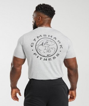 Gymshark Legacy T-Shirt T-Shirts Lichtgrijs | 46KCZTMGO