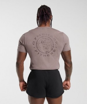 Gymshark Legacy T-Shirt T-Shirts Washed Mauve | 32ILORKGV