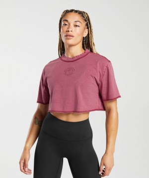 Gymshark Legacy Washed Crop Top Crop Tops Lichtturkoois | 68IUWXBJM