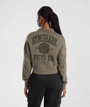 Gymshark Phys Ed Graphic 1/4 Zip Pullovers Camo Bruin | 19FIBGQSL