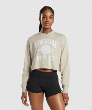 Gymshark Phys Ed Graphic Long Sleeve T-Shirt Long Sleeve Top Bruin | 21KWMPFTD