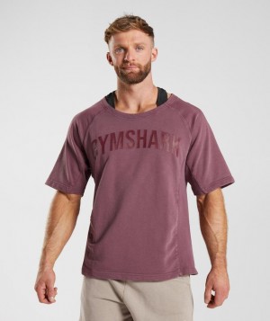 Gymshark Power Washed Rag Top T-Shirts Bruin | 30WKYSBZI