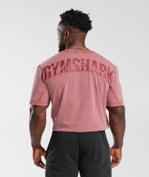 Gymshark Power Washed T-Shirt T-Shirts Rood | 95GBUDWKA