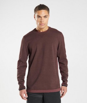 Gymshark Retake Crew Pullovers Bruin | 95LKPJEAB