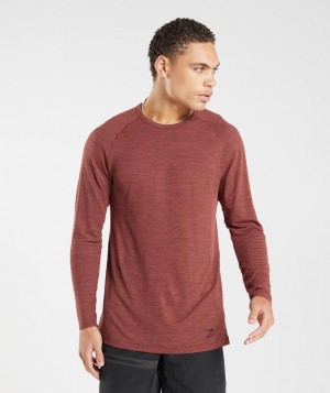 Gymshark Retake Seamless Long Sleeve T-Shirt Long Sleeve Top Roze | 26XHKQFBR