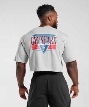 Gymshark Retrowave Crop T-Shirt T-Shirts Lichtgrijs | 60QNMHCOR