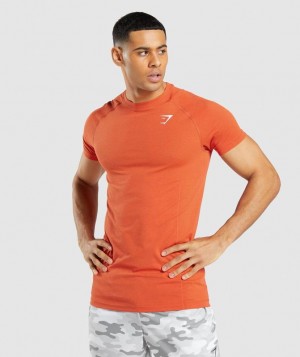 Gymshark Vital Light Seamless T-Shirt T-Shirts Oranje | 09HTGDXWC