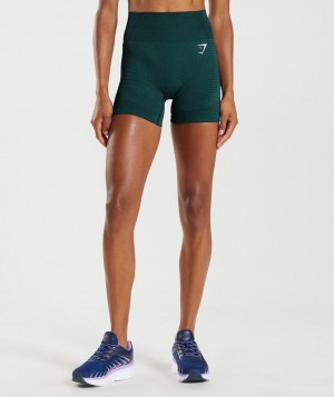 Gymshark Vital Seamless 2.0 Shorts Korte Broek Diep | 50ZHOVMXR