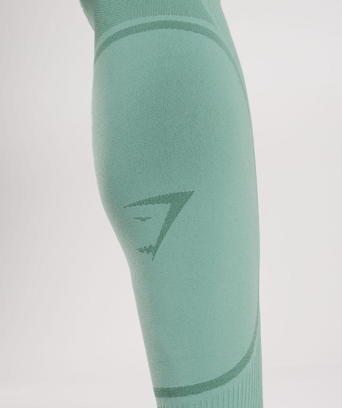 Gymshark 315 Seamless Tights Baselayer Groen | 13DTECONJ