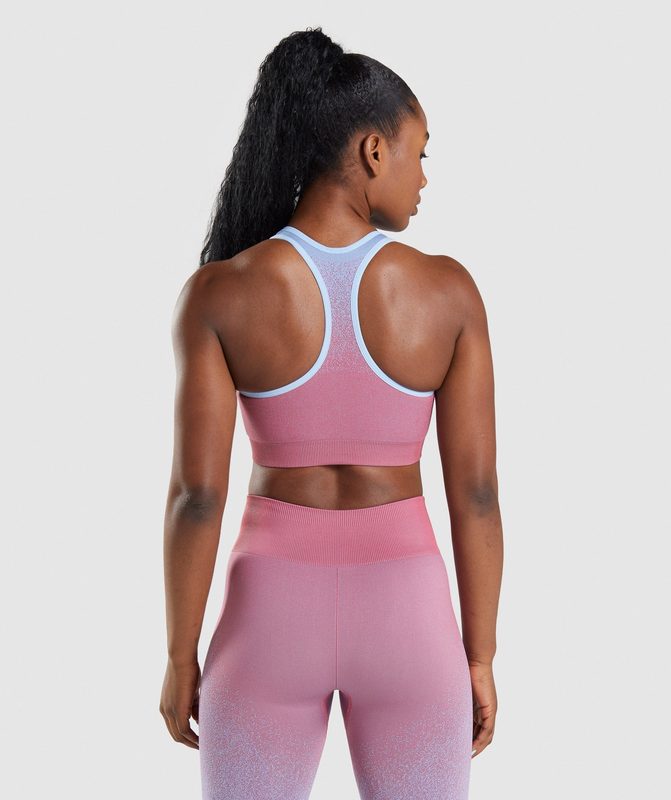 Gymshark Adapt Ombre Seamless Sports Bra Sports Bras Roze Blauw | 92YCUODRN