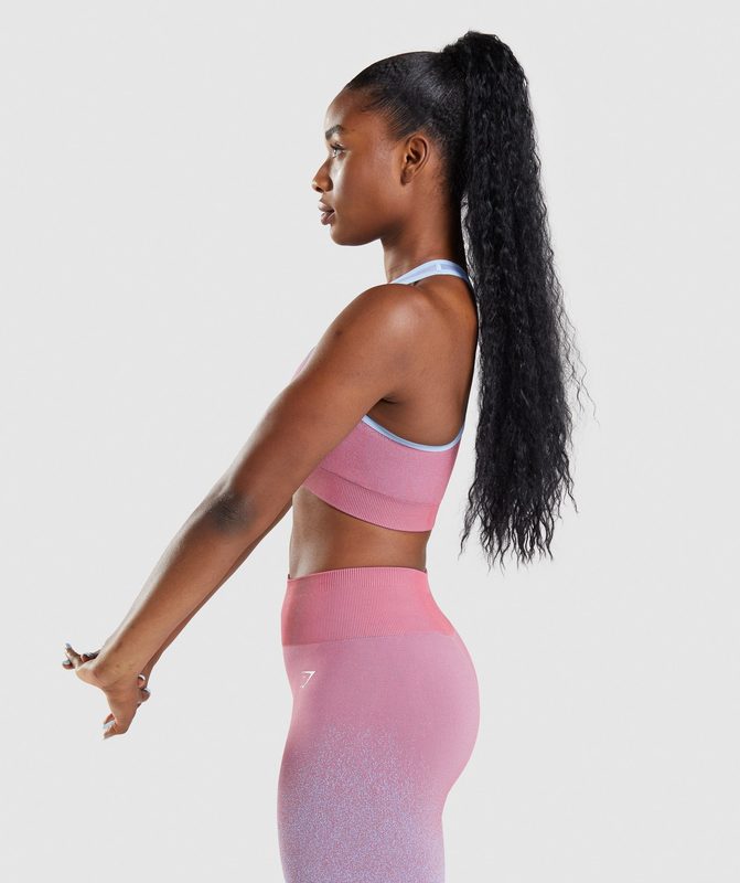 Gymshark Adapt Ombre Seamless Sports Bra Sports Bras Roze Blauw | 92YCUODRN