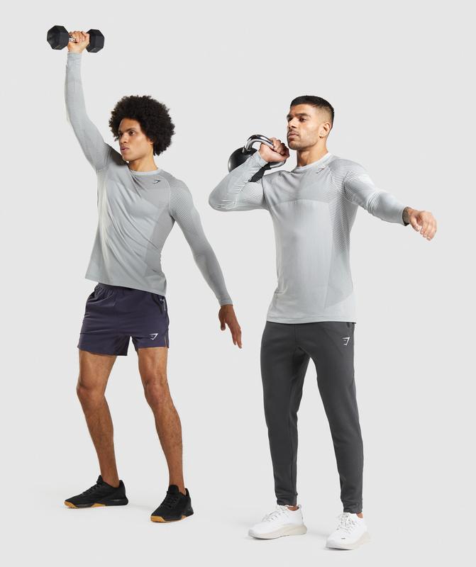 Gymshark Apex Seamless Long Sleeve T-Shirt T-Shirts Lichtgrijs | 07PCIORKH