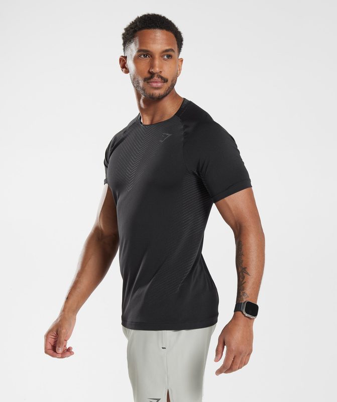 Gymshark Apex Seamless T-Shirt T-Shirts Grijs | 10RUWALCX