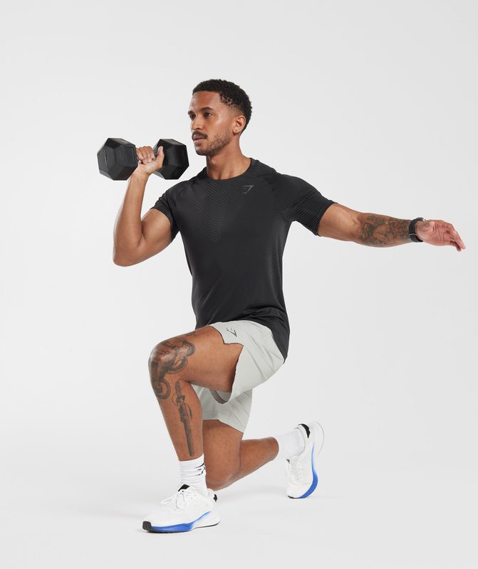 Gymshark Apex Seamless T-Shirt T-Shirts Grijs | 10RUWALCX