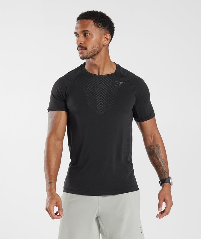 Gymshark Apex Seamless T-Shirt T-Shirts Grijs | 10RUWALCX